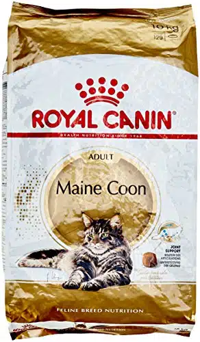 Meilleures croquettes pour chat Royal Canin