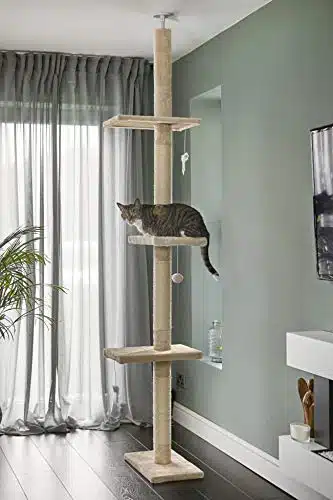 Meilleur arbre à chat XXL