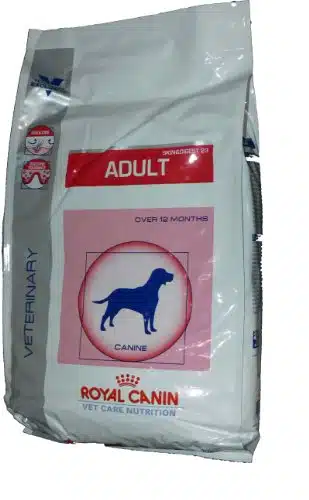 Meilleures croquettes pour chien royal canin